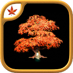 Fire Maple Games Collection
                  
  