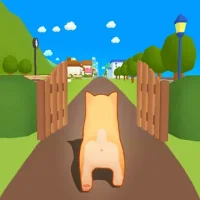 Dog Dash
                  
  