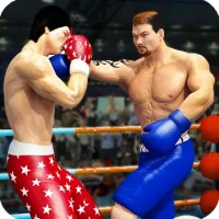 World Tag Team Супер пунш звезда бокса чемпион 3D
                  
  