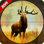 Deer Hunting 2019
                  
  