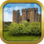 The Mystery of Blackthorn Castle
                  
  