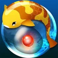 Zen Koi
                  
  