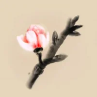 Mirages of Winter
                  
  