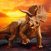 Triceratops Simulator
                  
  
