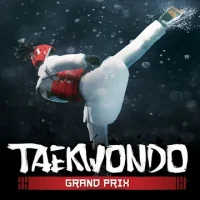 Taekwondo Game
                  
  