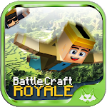 Battle Craft Royale
                  
  