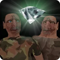 The Twins
                  
  