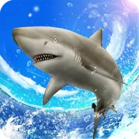 Wild Shark Fishing
                  
  