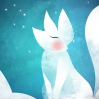 STELLAR FOX
                  
  