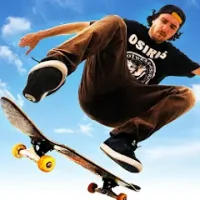 Skateboard Party 3
                  
  