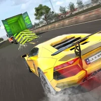 Slingshot Stunt Driver & Sport
                  
  