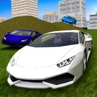 Multiplayer Driving Simulator
                  
  
