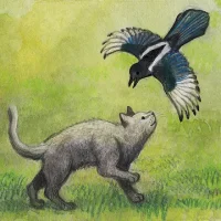 Milo and the Magpies
                  
  
