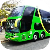 Heavy Bus Simulator
                  
  