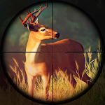 Deer Hunting 2018
                  
  