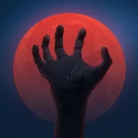 Zombie Arena: Fury Shooter Attack
                  
  