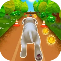 Pet Run - Puppy Dog Game
                  
  