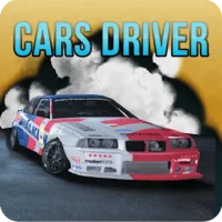 Racers Car Driver
                  
  