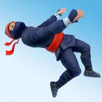 Ninja Flip
                  
  