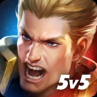 Arena of Valor: Арена 5v5
                  
  
