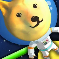 DOGECOIN YOLO
                  
  