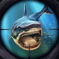Best Sniper: Shooting Hunter
                  
  