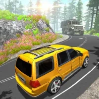 Mountain Car Drive
                  
  