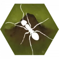 Finally Ants
                  
  
