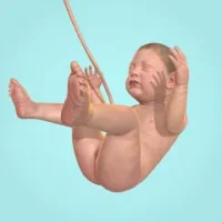 Idle 9 Months
                  
  