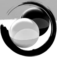 Abalone - The Official Board Game
                  
  