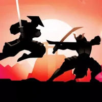Shadow Warrior Ultimate Fighting
                  
  