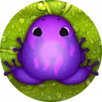Pocket Frogs
                  
  