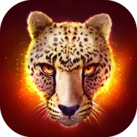 The Cheetah
                  
  