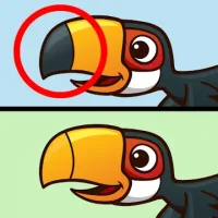 Spot it: Find the Difference
                  
  