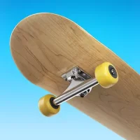 Flip Skater
                  
  