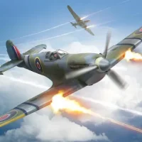 War Dogs : Ace Fighters of World War 2
                  
  