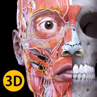 Анатомия - 3D Атлас

