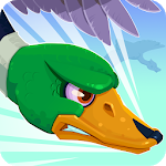 Duckz!
                  
  