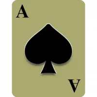 Callbreak Multiplayer
                  
  