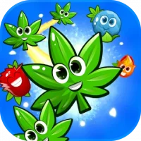 Blast Match 3 Flowers Blossom in Garden Weed Game
                  
  