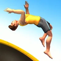 Flip Master
                  
  