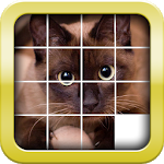 SliderMania Animals Pro (Puzzles)
                  
  