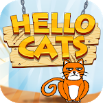 Hello Cats
                  
  