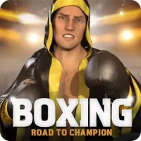 Boxing - Road To Champion
                  
  