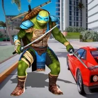 Adventure Turtle Hero Spider Ninja Rope Hero
                  
  