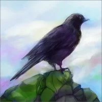 Gathering Sky
                  
  