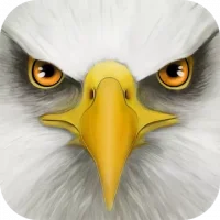 Ultimate Bird Simulator
                  
  