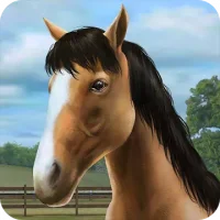 My Horse
                  
  