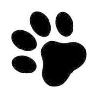 Dig Dog!
                  
  