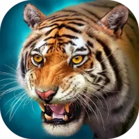The Tiger
                  
  